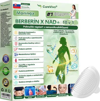 🇸🇰 𝑶𝒇𝒊𝒄𝒊á𝒍𝒏𝒚 𝒐𝒃𝒄𝒉𝒐𝒅 | 🌱Healrize® Moringa · Berberine × NAD+ 10-in-1 Pokročilá nano mikroihličková náplasť