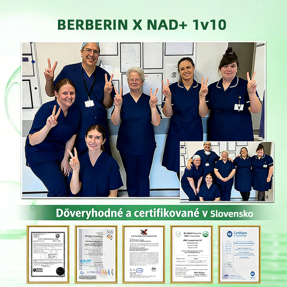 🇸🇰 𝑶𝒇𝒊𝒄𝒊á𝒍𝒏𝒚 𝒐𝒃𝒄𝒉𝒐𝒅 | 🌱Healrize® Moringa · Berberine × NAD+ 10-in-1 Pokročilá nano mikroihličková náplasť